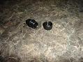 Walther P22 Adapter